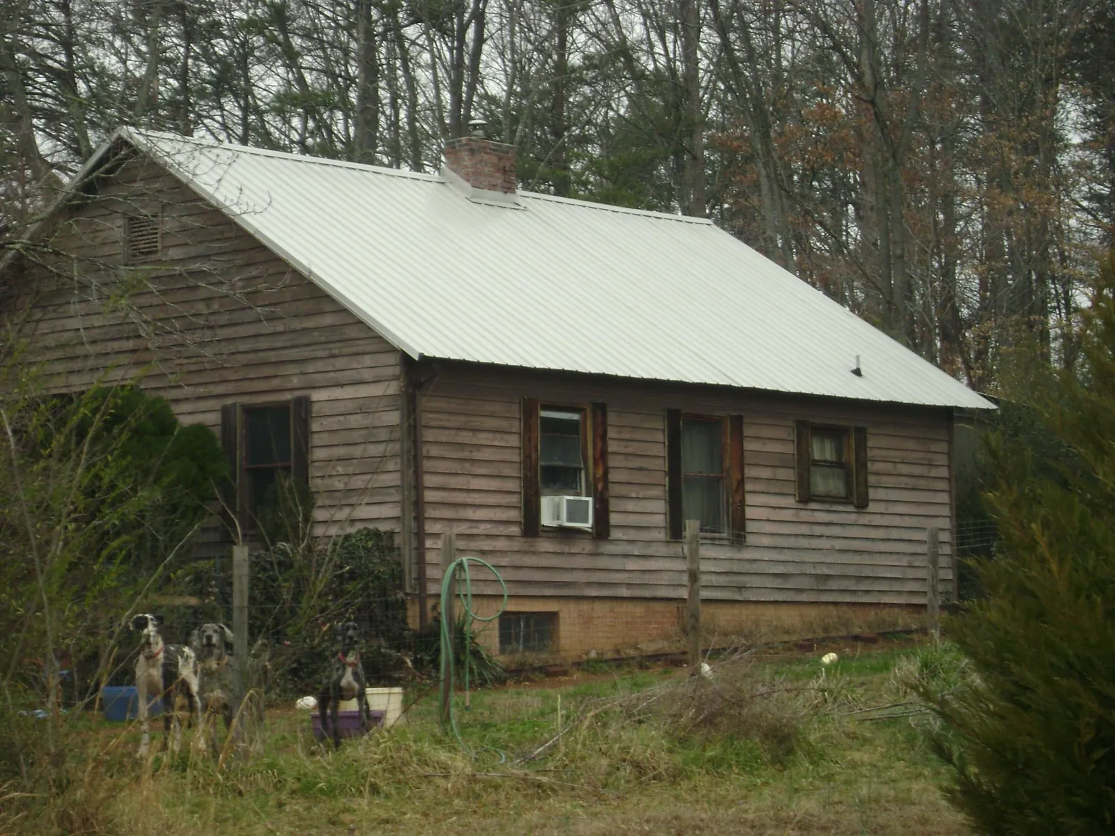 White metal roof on an old wood sided farmhouse, from a Asphalt Shingle Roof Repair job in Pennville